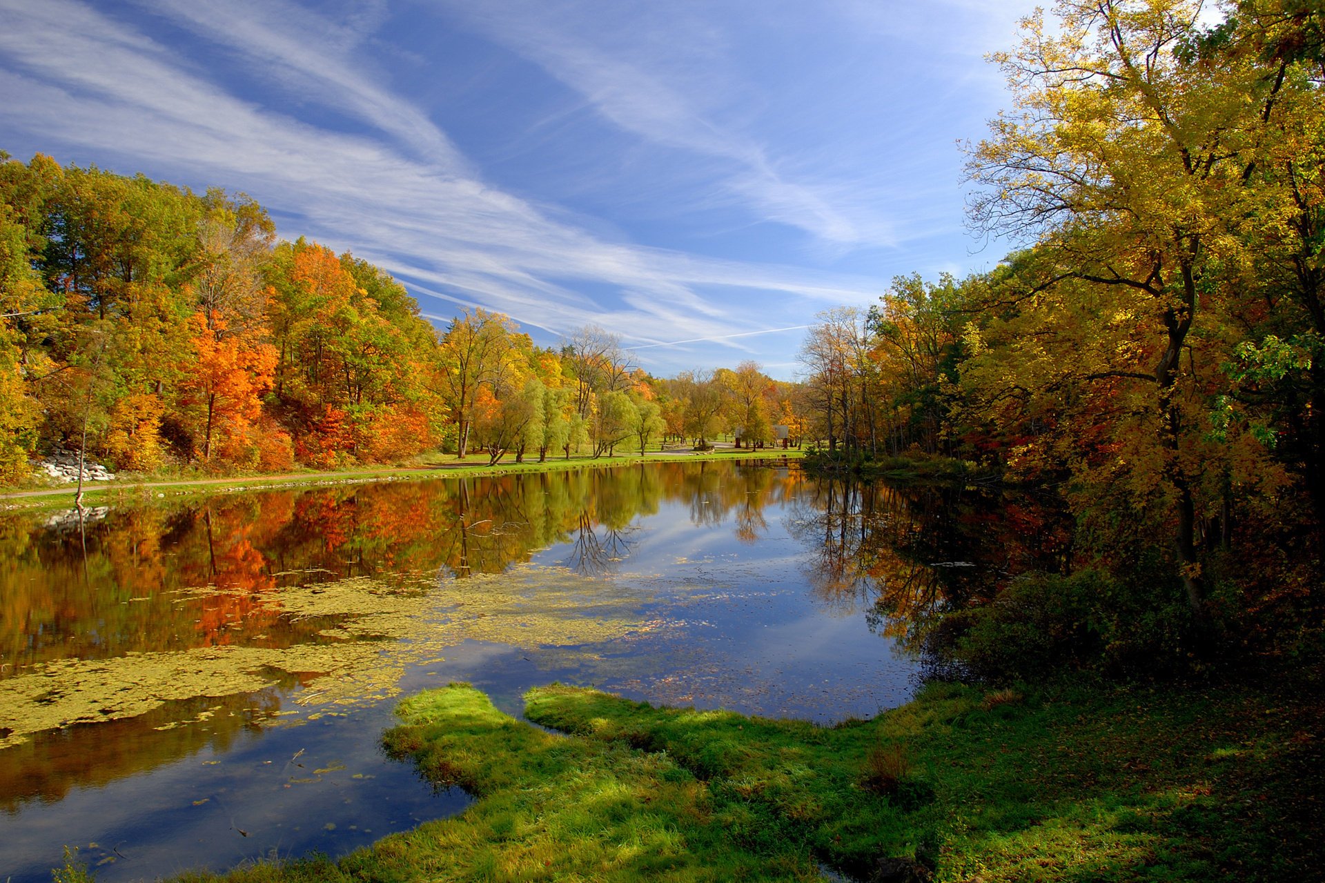 przyroda jesień park staw