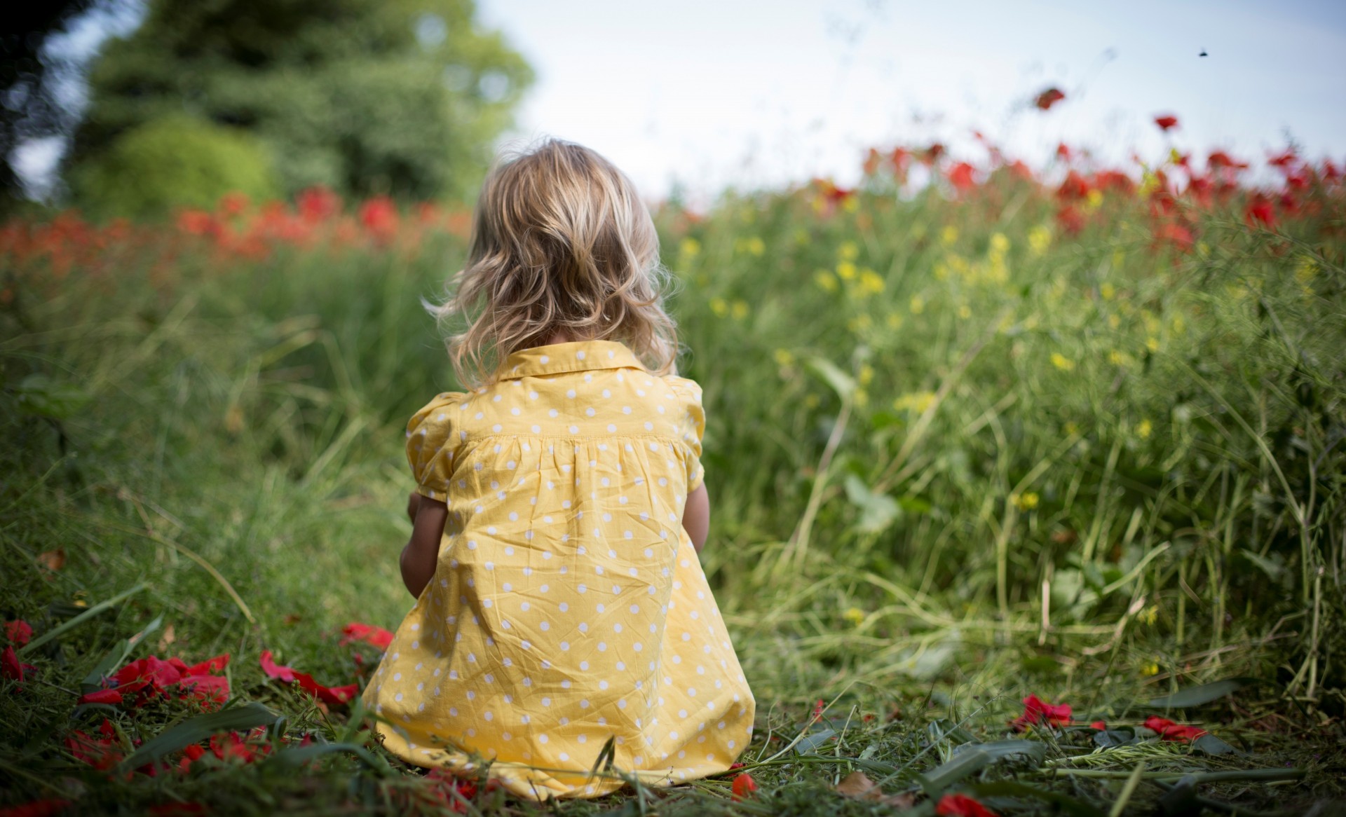 kinder gras stimmung kinder natur hintergrund baby blumen tapete grün kleid feld blumen. blumen mädchen