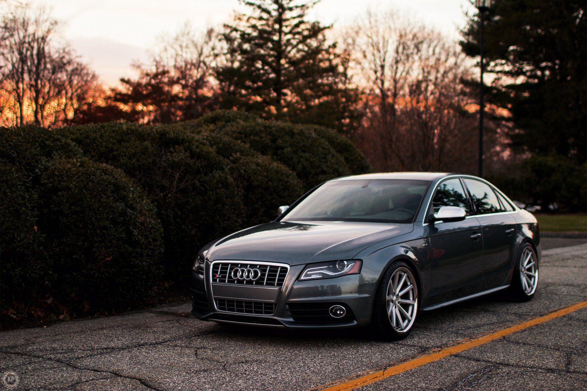 audi s4 audi grau straße büsche