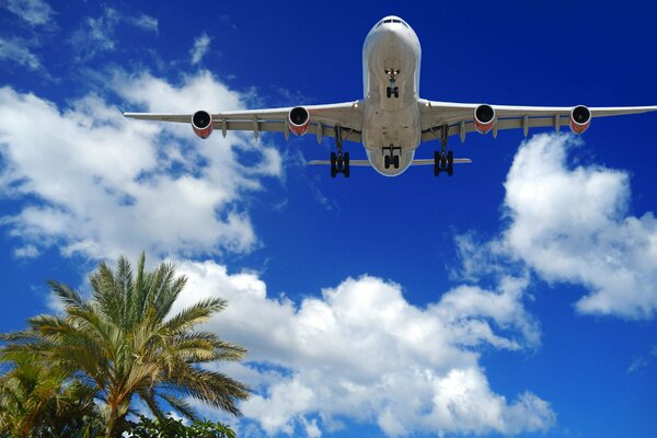 A flying plane on a beautiful sky background