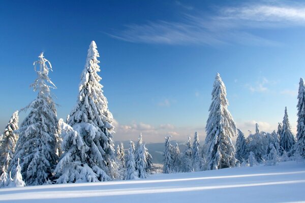 Enchanted snow surface on the slope