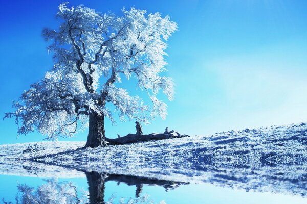 Bleu et givre sur le lac