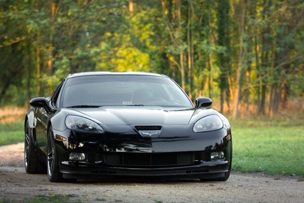 Mashinachevo corvette among green trees on the road