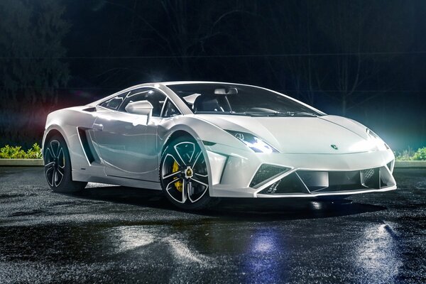 Auto supercar lamborghini. Blanc lp560-4 2013année