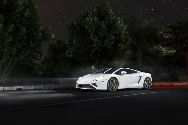 Il Gallardo bianco corre lungo la pista notturna oltre la foresta