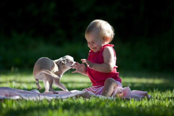 A child plays with a dog