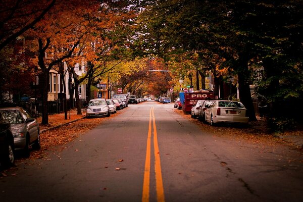 Route d automne à Cambridge parsemée de feuilles mortes avec des voitures sur les routes