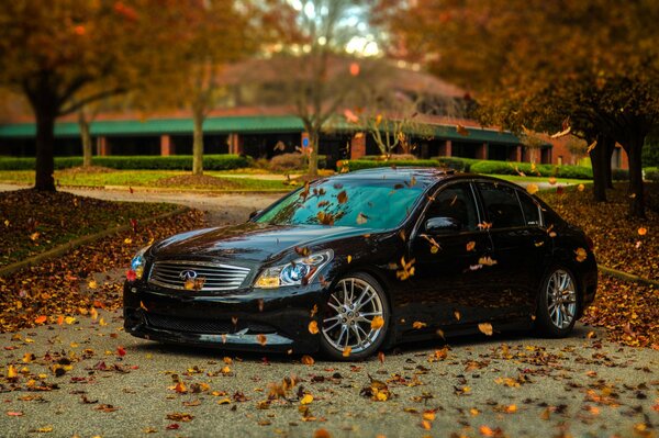 Black infiniti car on the background of autumn leaves