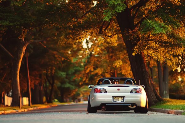 El coche de Honda se encuentra en el bosque de otoño