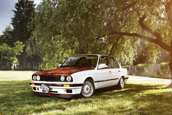 BMW e 30 sous un arbre au soleil