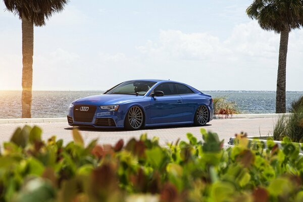 Azul Audi RS5 Coupe en la costa