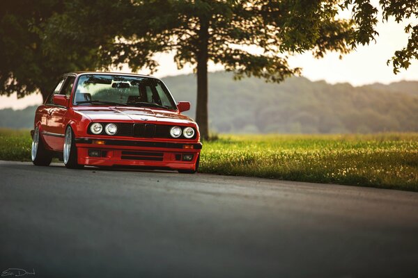 Red BMW on the highway on the background of a tree and a field