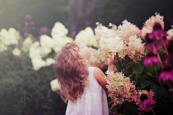 Ragazza carina che annusa i fiori. Foto ispiratrice. I bambini sono i fiori della vita. Ragazza in abito bianco nei colori