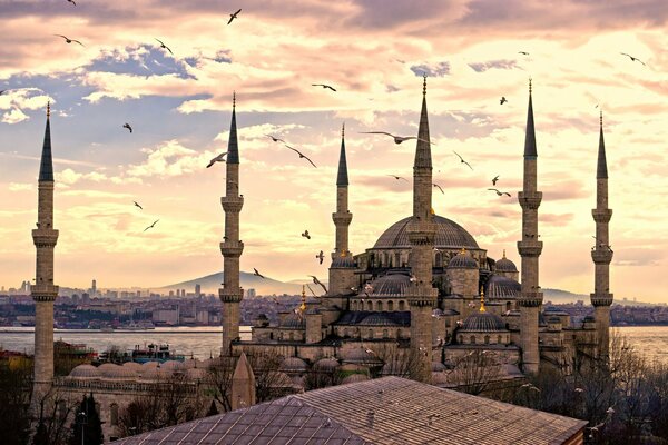 Turskaya mosque on the background of birds and golden clouds