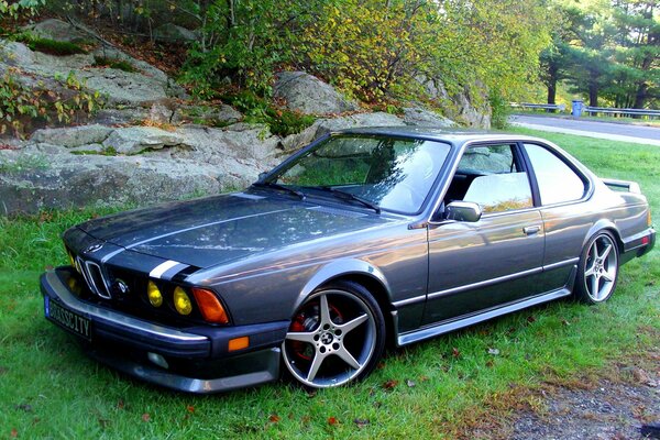 Old-school BMW on the lawn at the fountain of stones