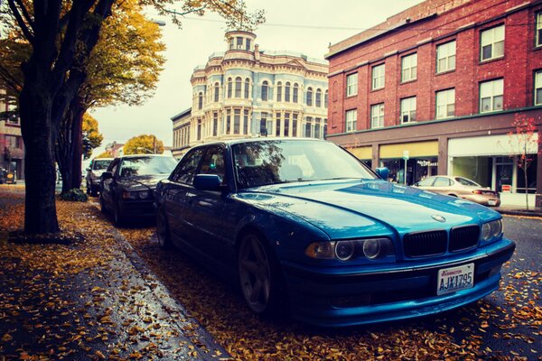 In der Herbststraße parken Autos, im Vordergrund steht ein blauer Boomer