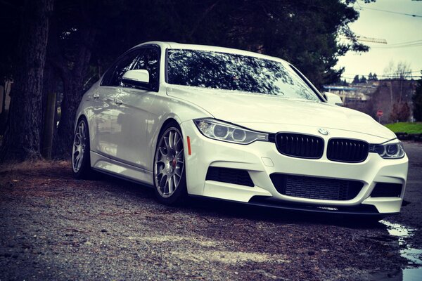 Hermosa foto promocional del coche alemán de color blanco