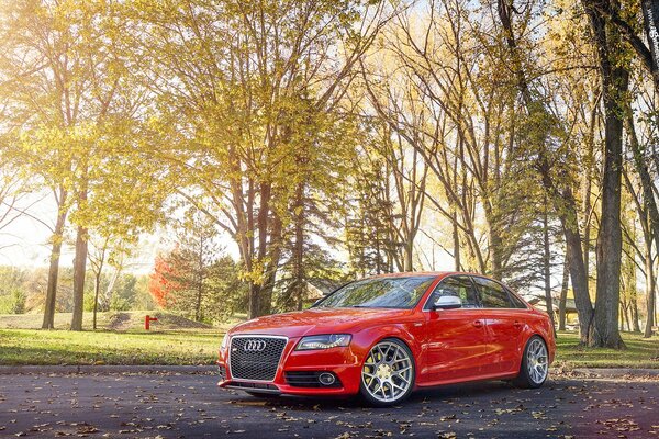 Ein roter Audi im Park