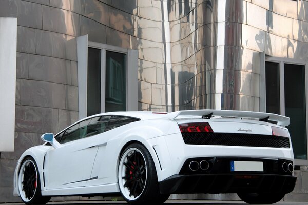 Белый lamborghini gallardo, шикарны вид сзади