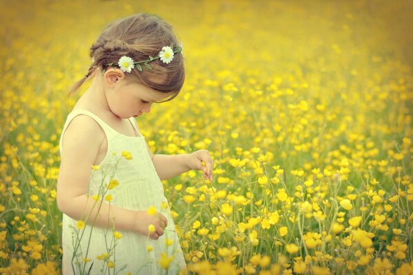 Fille dans le champ recueille des fleurs