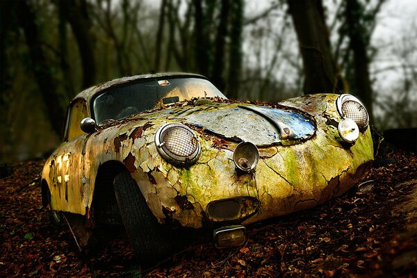 A broken yellow Porsche in the autumn forest