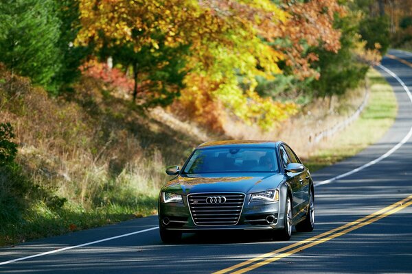 Audi sulla strada autunnale suburbana