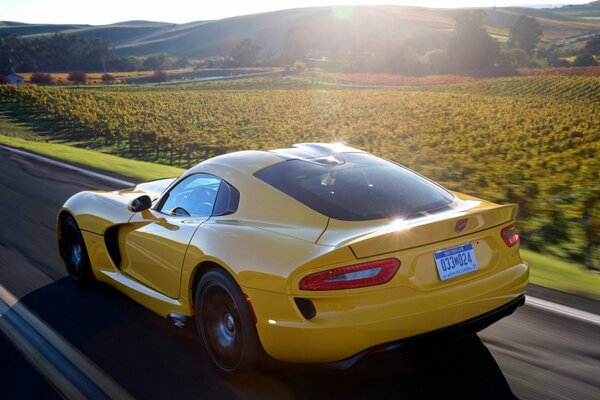 Coche deportivo amarillo a la velocidad