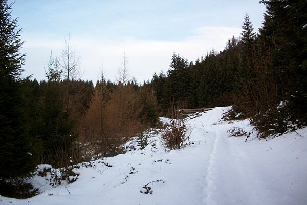 Verschneite Straße in die Ferne