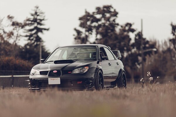 Black subaru impreza on a forest background