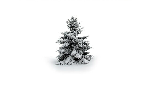 Albero di Natale in inverno sotto la neve