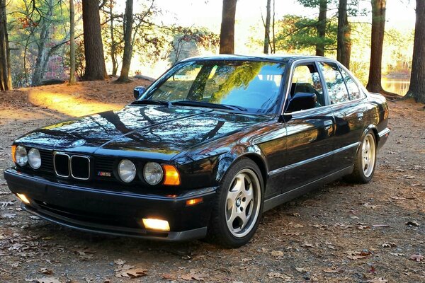 Voiture noire BMW sur la nature