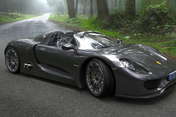 Auto Porsche sulla strada e sullo sfondo della foresta