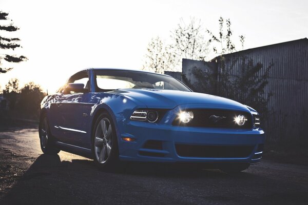 Blue mustang in the evening