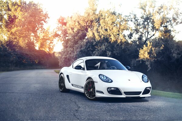 White porsche cayman front wallpaper