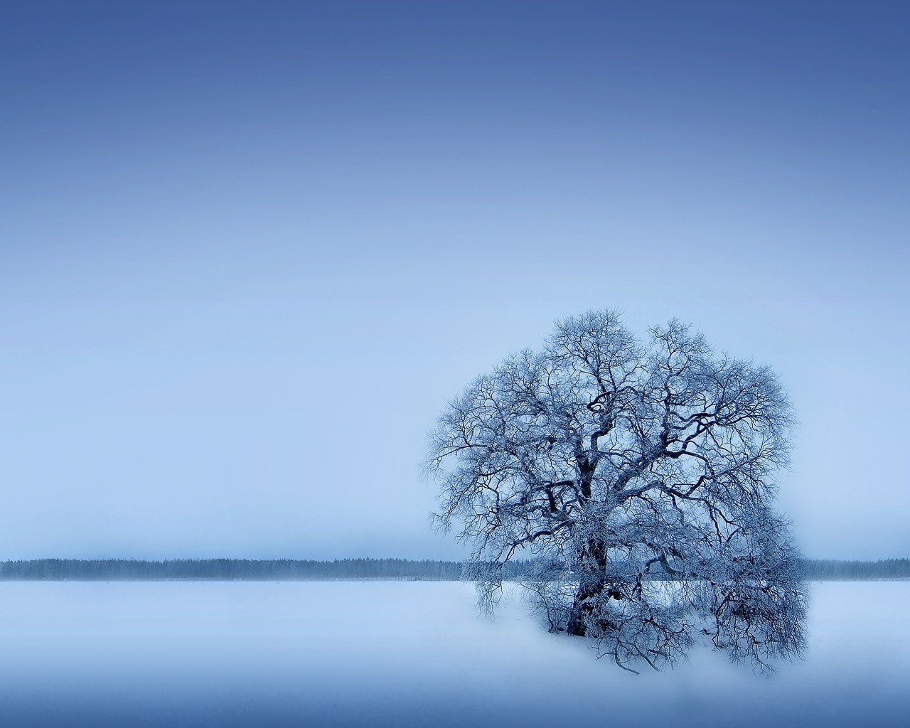 árbol invierno nieve