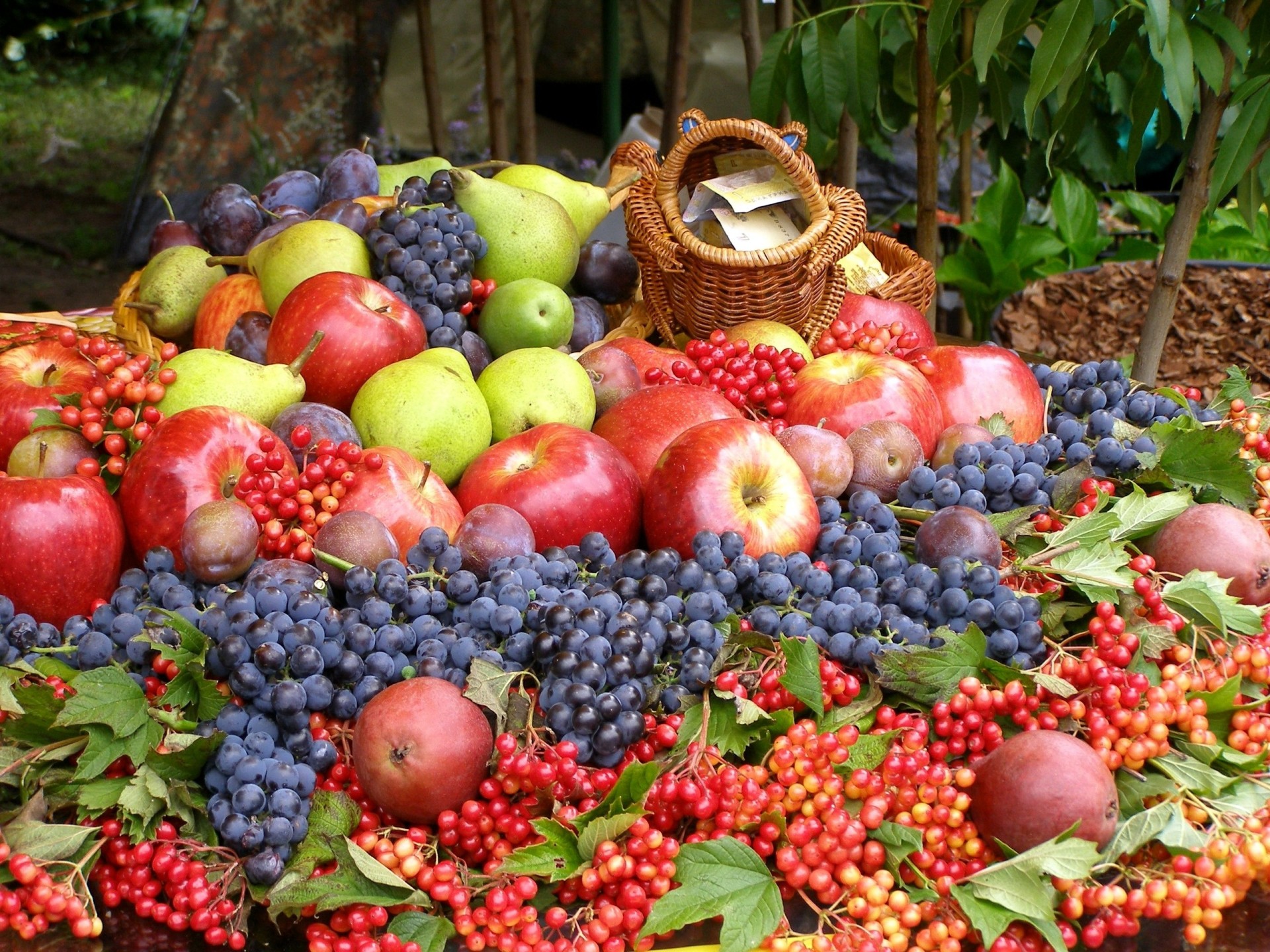 fruits raisins beaucoup pommes