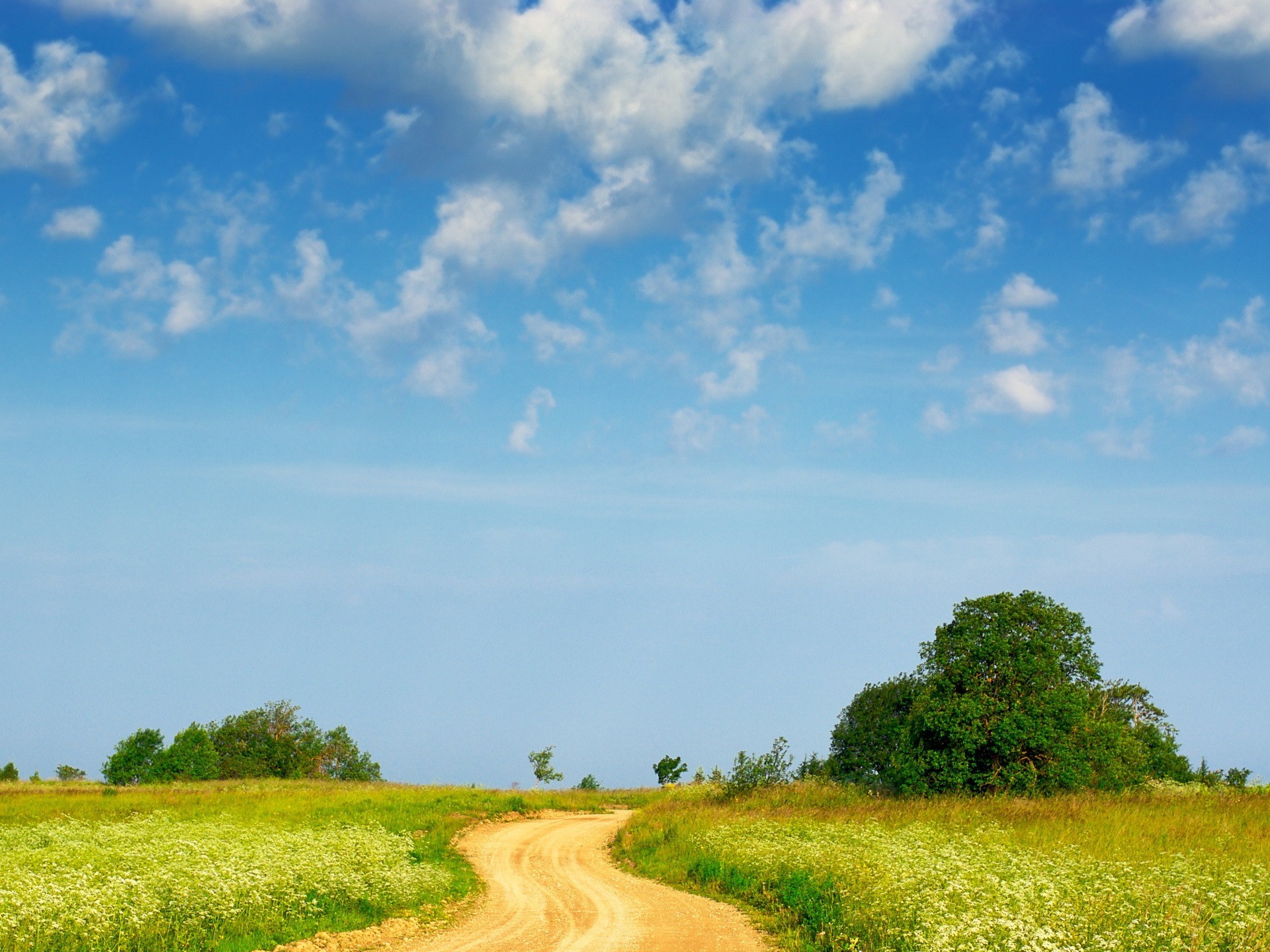 camino árboles nubes