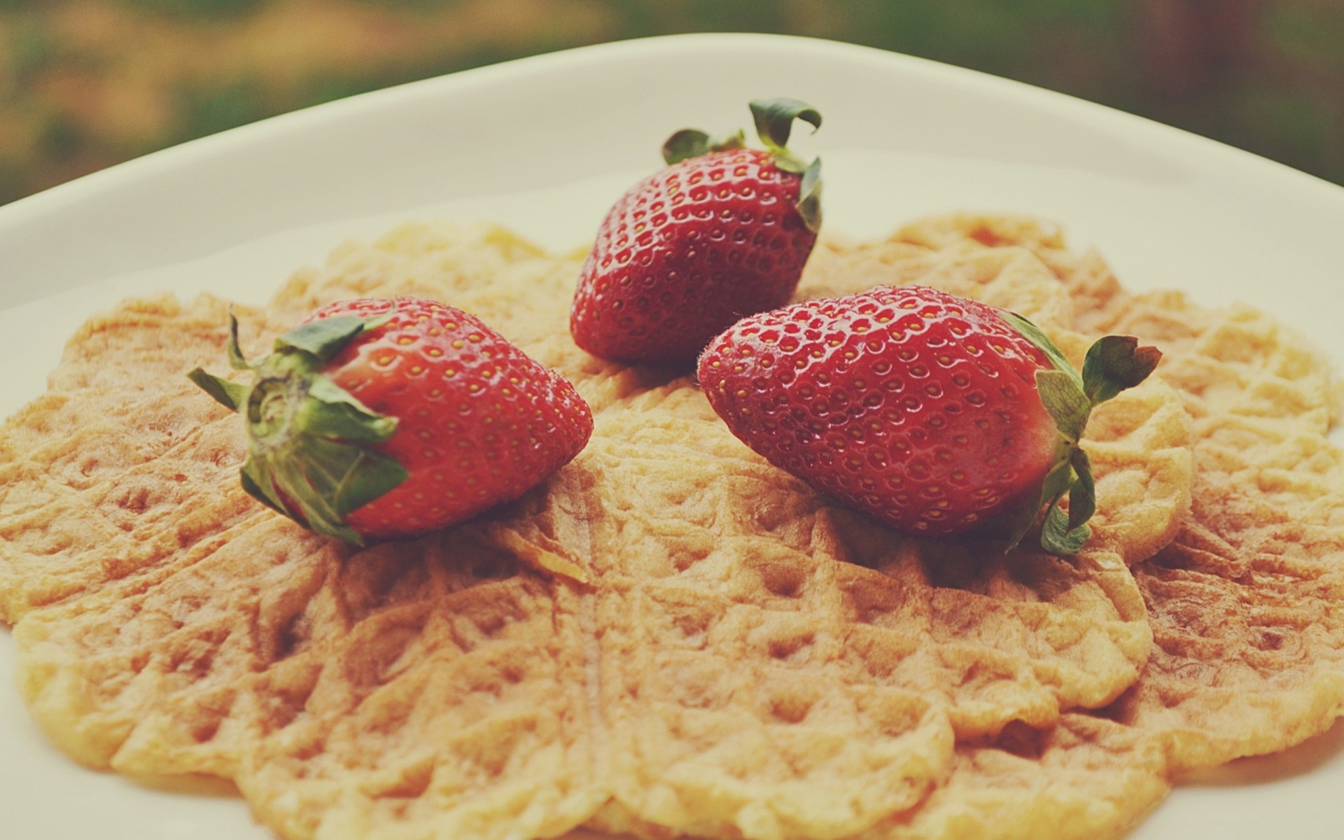 nahrung beeren erdbeeren