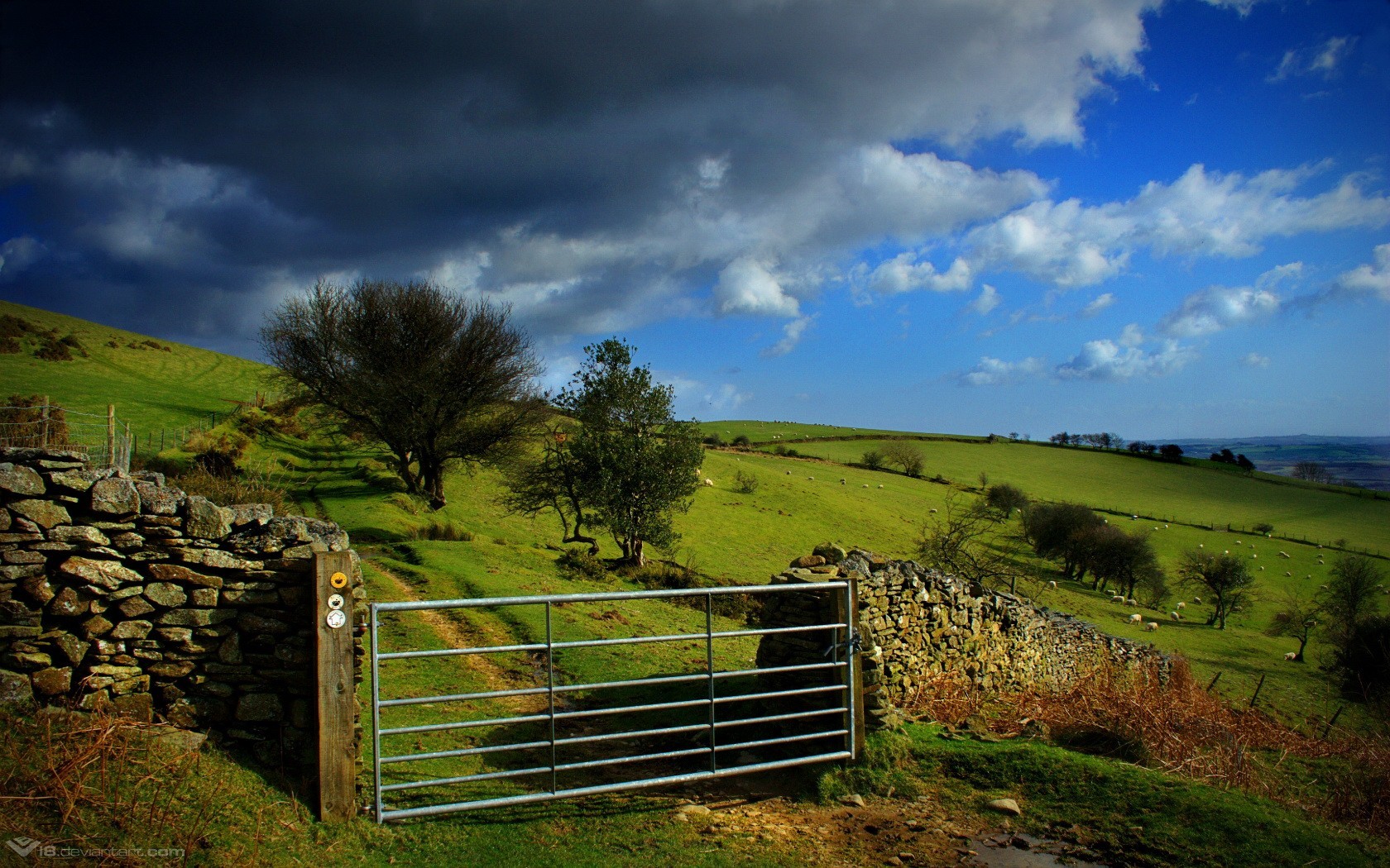 tor feld wolken