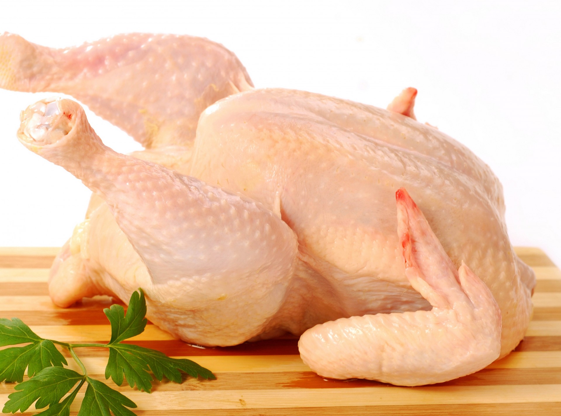 fond blanc planche persil poulet