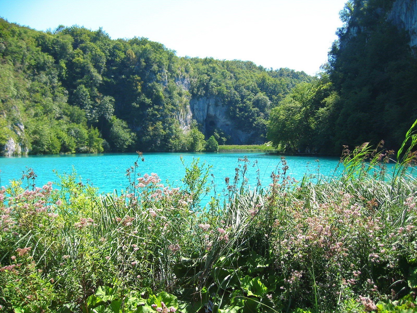 lago azul hierba