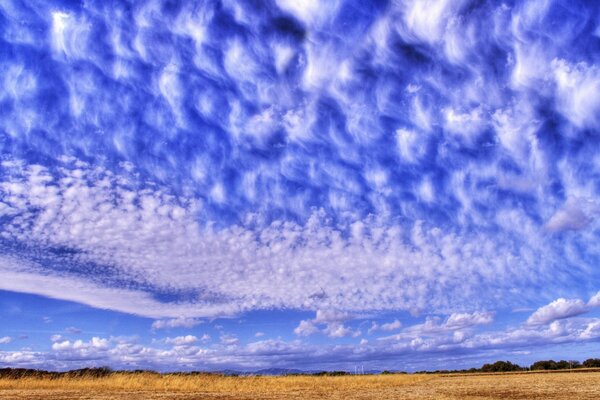 Cielo azul con nubes de plumas