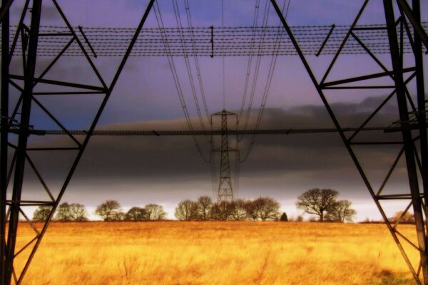 Wheat field in wires