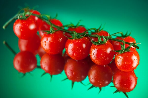 Opetit red cherry tomatoes