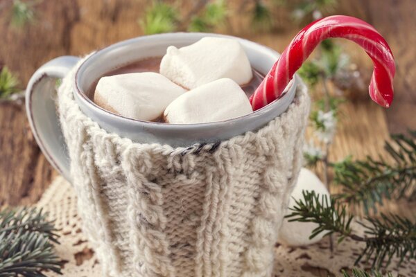 Sweet hot chocolate with marshmallows