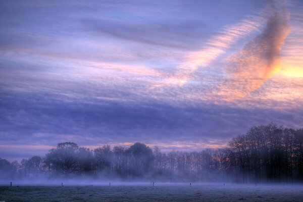 Snowy cloudy morning in fog