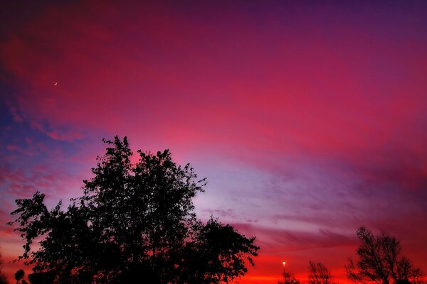 Roter Sonnenuntergang über dem Schwarzwald