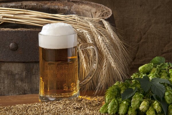 Stillleben Deckel Bier Getreide Hopfen Ohren