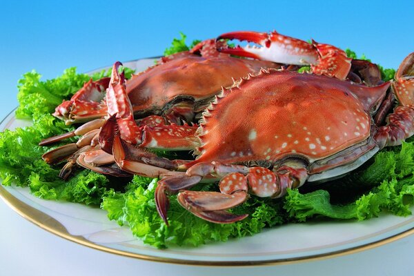 Plate with lettuce leaves and two crabs