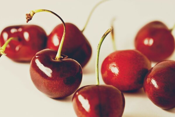 Sept belles cerises fraîches et brillantes